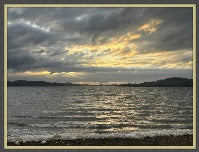 FULL CIRCLE petrichor