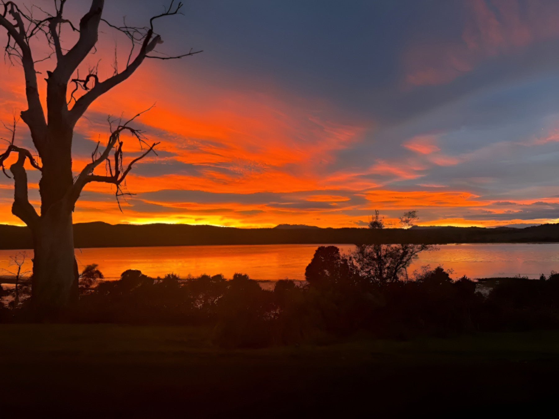 FIRE IN THE SKY frameshop.com.au