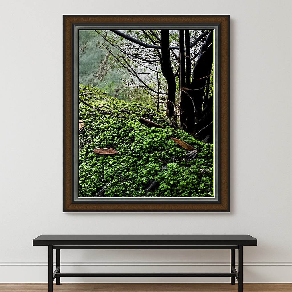 THE MILLERS VIEW Frameshop.com