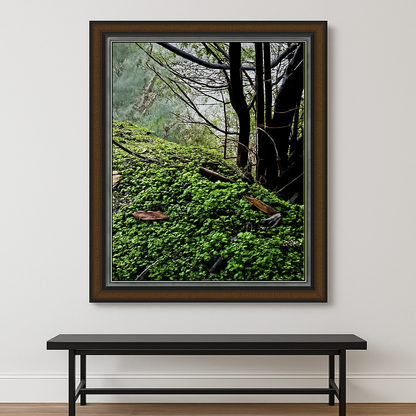 THE MILLERS VIEW Frameshop.com