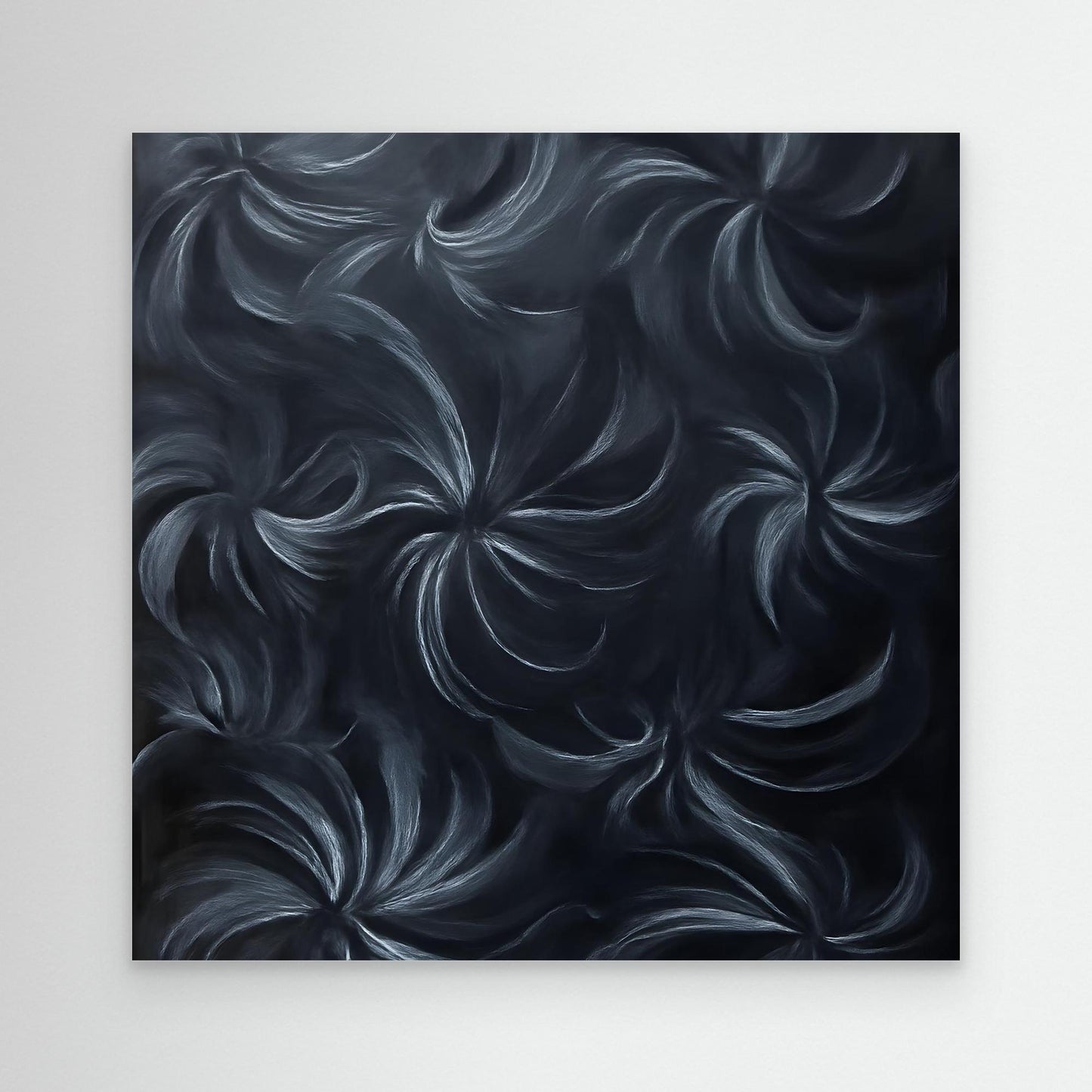 australian native flora black orchid