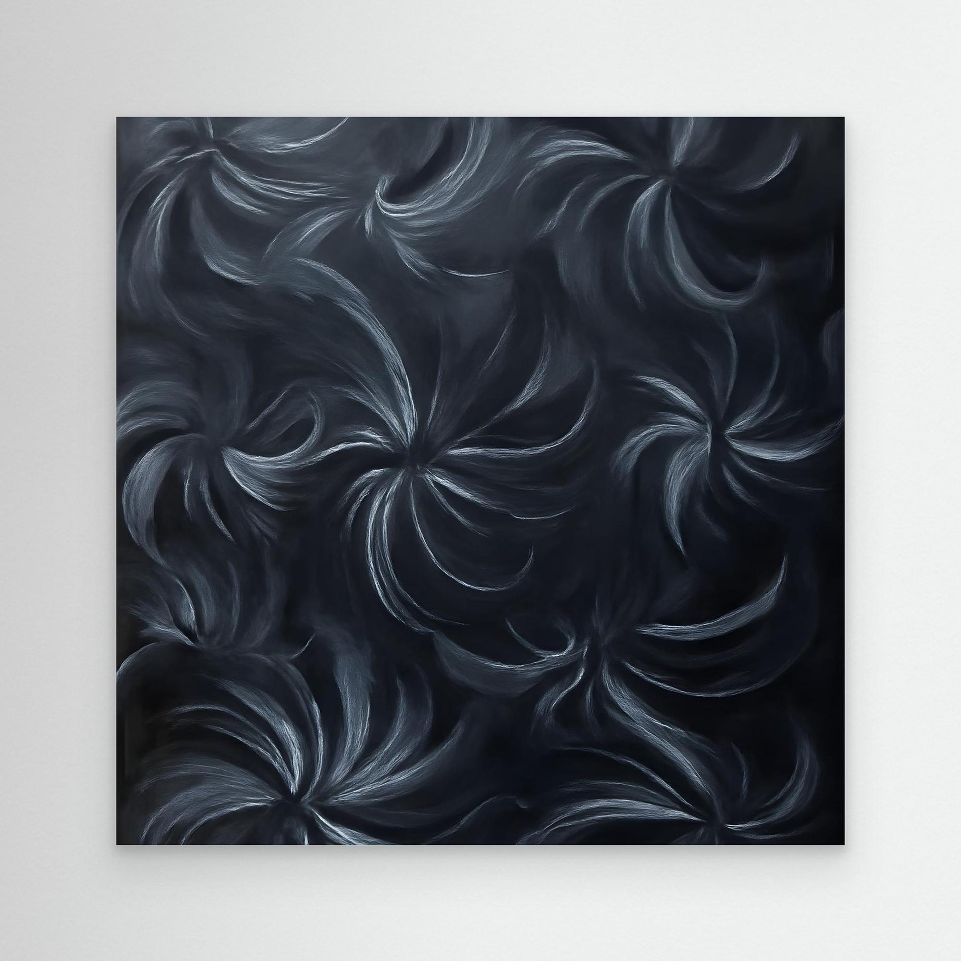 australian native flora black orchid